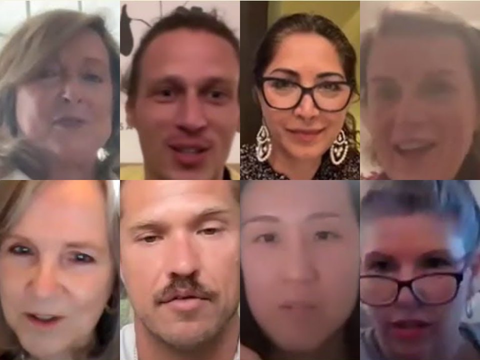 Eight members of the last Potentia cohort on a live call