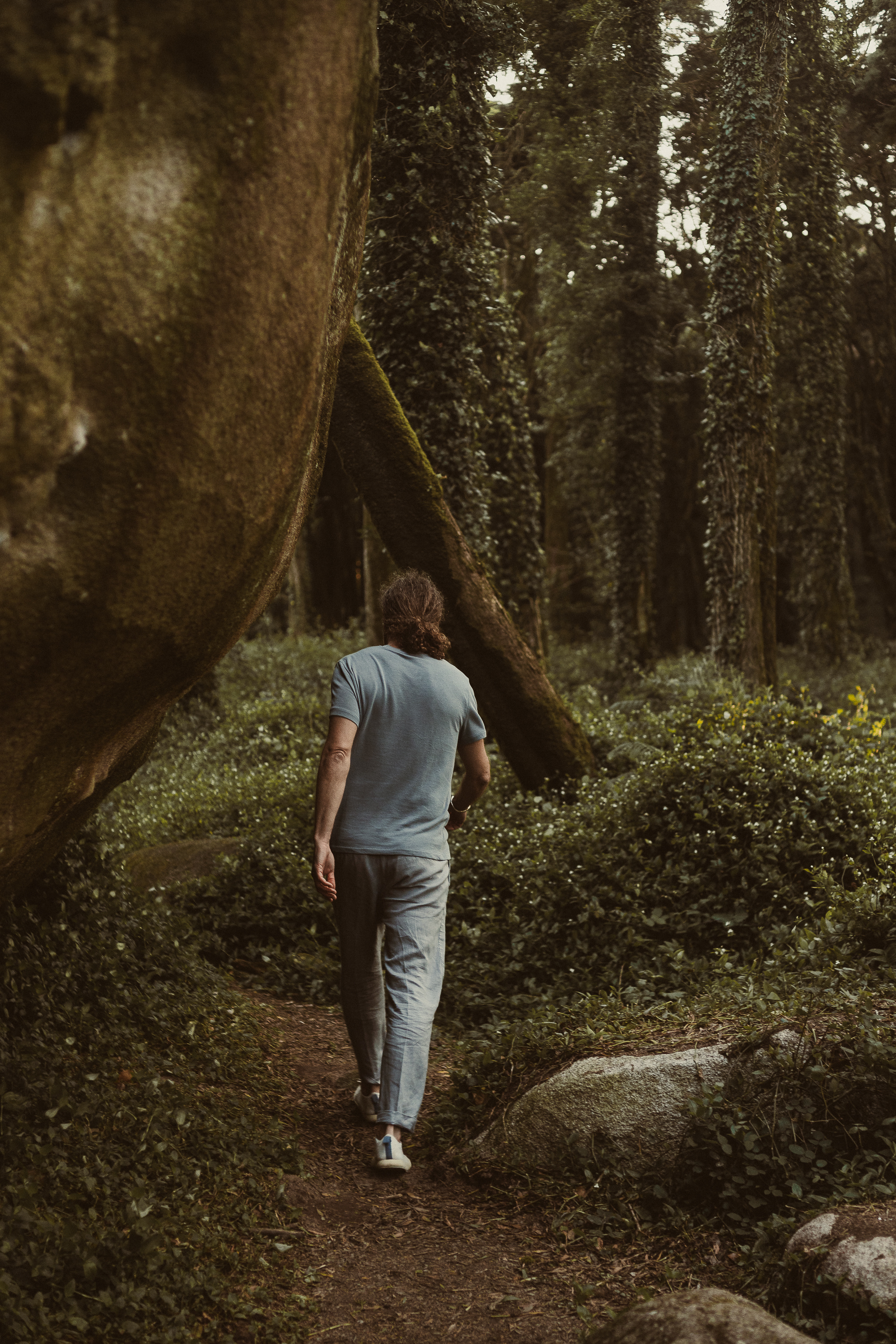 Skai walking a forest path